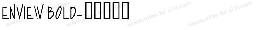 Enview Bold字体转换